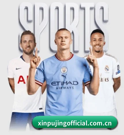 新葡京娱乐 APP